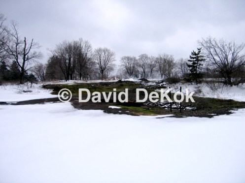 Fire's Heat, Melted Snow, 2/23/08