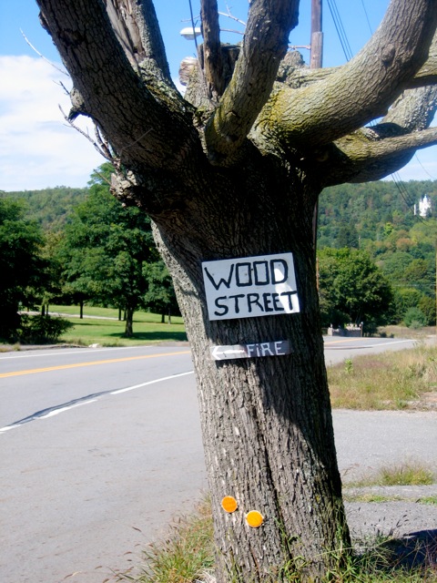 The fire tree, Centralia