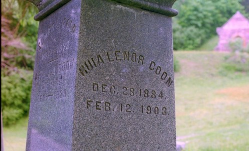 Grave of young typhoid victim in Ithaca. Photo by David DeKok